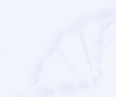 首页| 28圈游戏有限公司官方网站